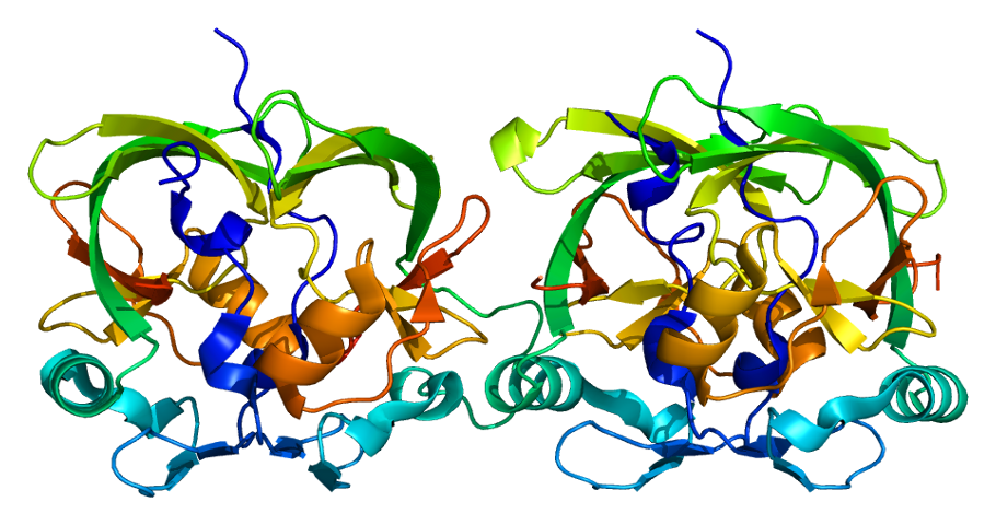 Protein ATXN1