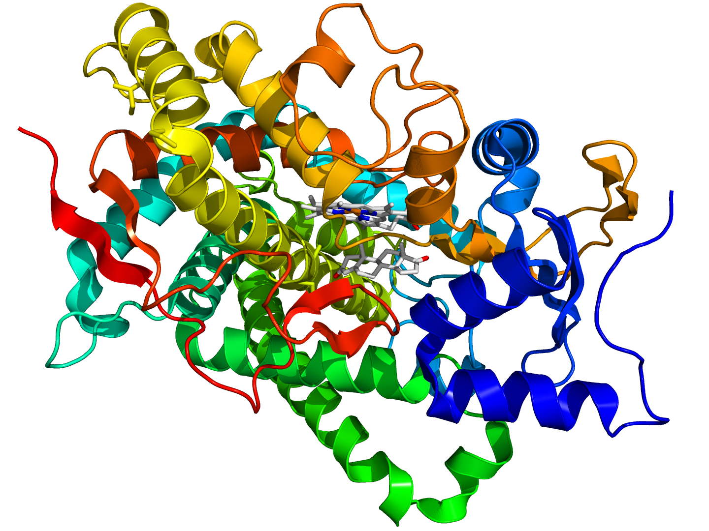 Structure of aromatase enzyme