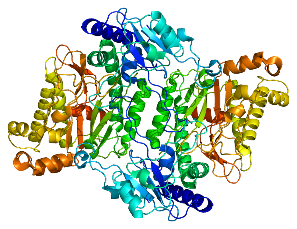 Structure of the PEPD protein