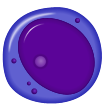 Prolymphocyte