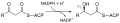 Reaction catalyzed by 3-oxoacyl-(acyl-carrier-protein) reductase