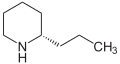 Chemical structure of Coniine