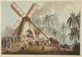 The Mill Yard - Ten Views in the Island of Antigua (1823), plate V
