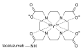 Structure of Y-90 tacatuzumab tetraxetan