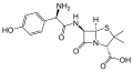 Structure of amoxicillin