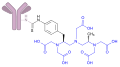 Ibritumomab tiuxetan structure