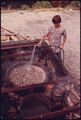 Youngster sprays water on boiling peanuts in Helen, Georgia