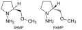 SAMP RAMP Structure