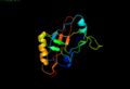 SmpB protein cartoon structure