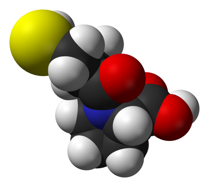 File:Captopril-3D-vdW.png