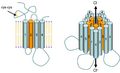 Schematic of GABAA receptor