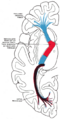 Thumbnail for version as of 17:28, 18 May 2026