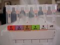 Kell and extended Rh antigen blood typing