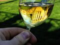 Chardonnay UVa