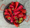 Florina_pepper