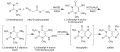 Caffeine synthesis