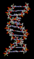 Molecular biology