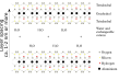 Montmorillonite Diagram