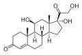 Cortisol