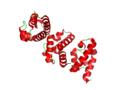 RecQ helicase