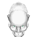 Seen from above (parietal bones are removed)