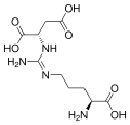 Argininosuccinic acid