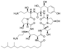 Caspofungin structure