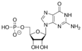 GMP Chemical Structure