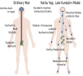 Kundalini yoga