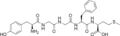 Met-enkephalin structure