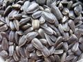 Sunflower seeds
