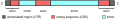 Gene structure