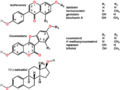 Phytochemistry