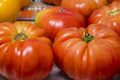Tomato sandwich