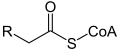 Diagram of Acyl-CoA structure