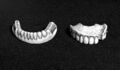 Carved ivory upper and lower denture