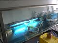 UV disinfection in a laminar flow cabinet.