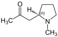Hygrine Structural Formula V.1