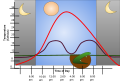 Lizard thermoregulation diagram