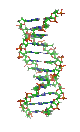 Cell (biology)