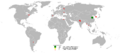 2005 garlic production
