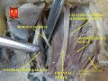 Levator palpebrae superioris muscle