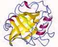Cyclophilin structure