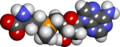 S-adenosylmethionine