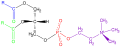 Phosphatidyl-Choline