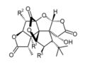 Ginkgolides Structure