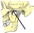 Processus zygomaticus ossis frontalis
