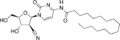 Sapacitabine