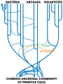 Tree of Life with horizontal gene transfer