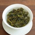 Jin Xuan oolong tea steeping in gaiwan